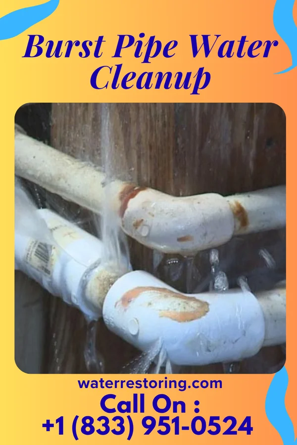 Burst Pipe Water Cleanup in Reddick, IL