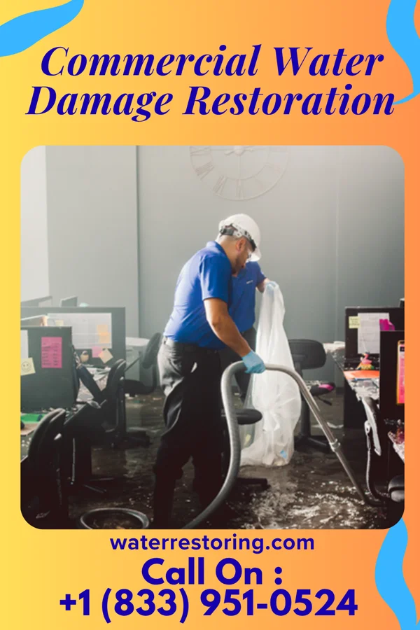 Commercial Water Damage Restoration in Reddick, IL