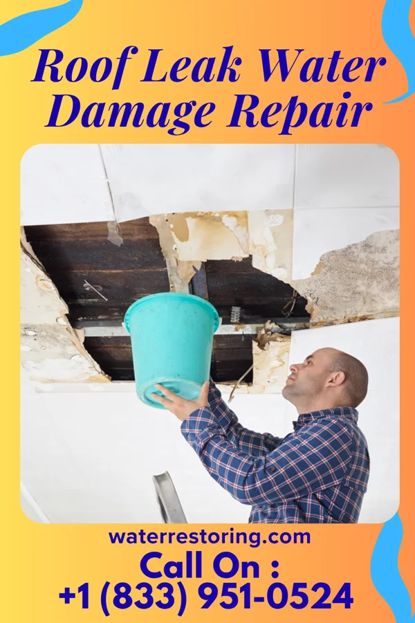Roof Leak Water Damage Repair in Reddick, IL