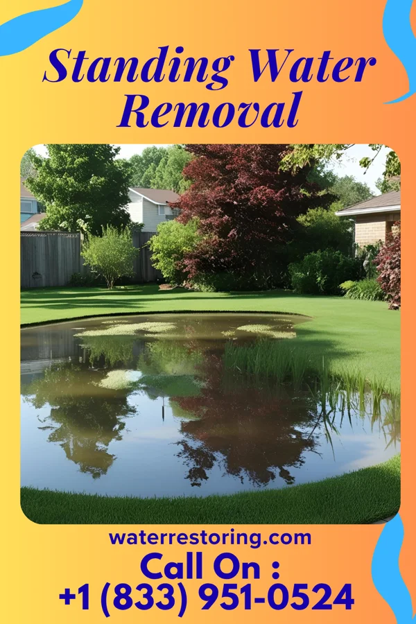 Standing Water Removal in Reddick, IL